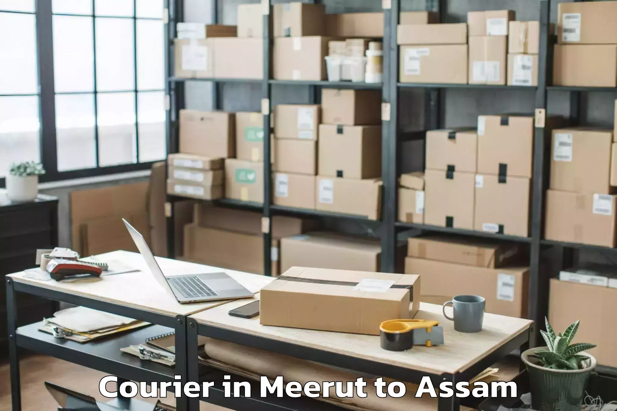 Book Your Meerut to Naharkatiya Courier Today